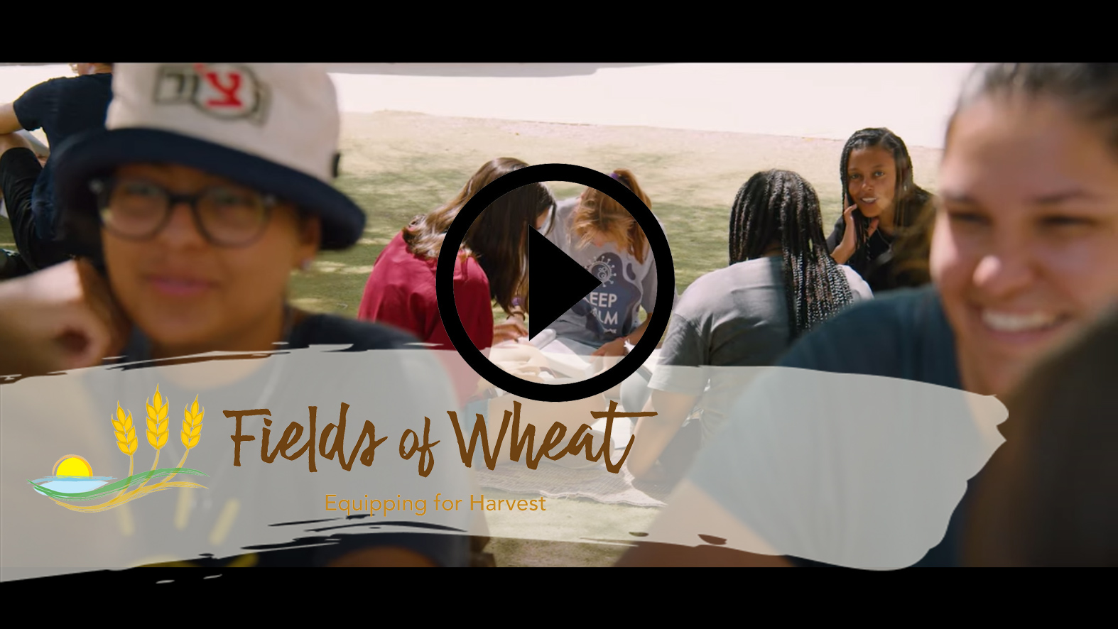 fields of wheat promo video